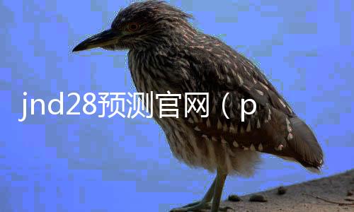 jnd28預(yù)測官網(wǎng)(pc28預(yù)測攻略)